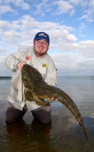 big dusky flathead ian phillips