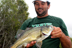 How To Catch Fish, Australian Bass