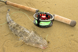 How To Catch Fish, Dusky Flathead