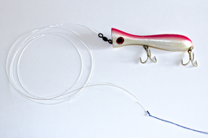 gt knot lure casting fishing rig