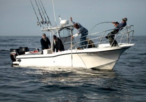 rock wyrsta tagging giant trevally