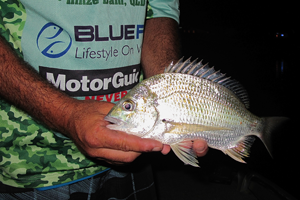 Australian Bream Challenge – Tackle Tactics