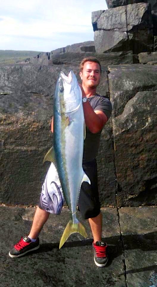 yellowtail kingfish, rock fishing, wa