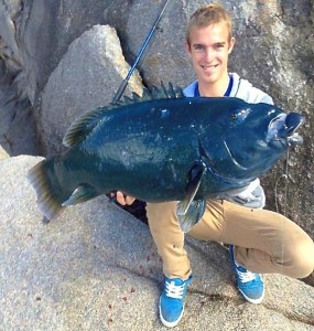 western blue groper fishing australia