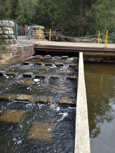 Lane Cove Weir fishway