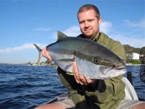 port macquarie kingfish fishing nsw