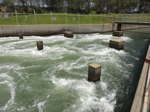 Lake Macquarie Hot Water Outlet, fishing closures