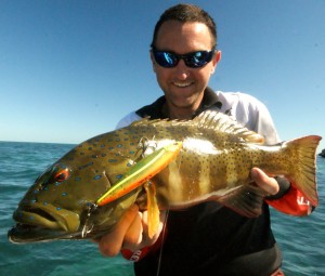 coral trout montebello islands fishing wa