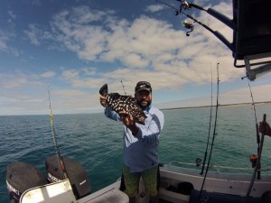 rankin cod shark bay fishing wa