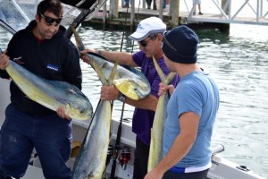 Portland mahi mahi fishing vic