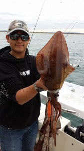 squid fishing port phillip bay vic