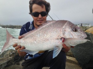 North Mole snapper fishing perth wa