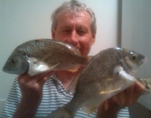 yellowfin bream gold coast fishing