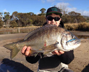 bream fishing hobart tas