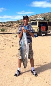 Steep point spanish mackerel