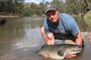 murray cod fishing season ends