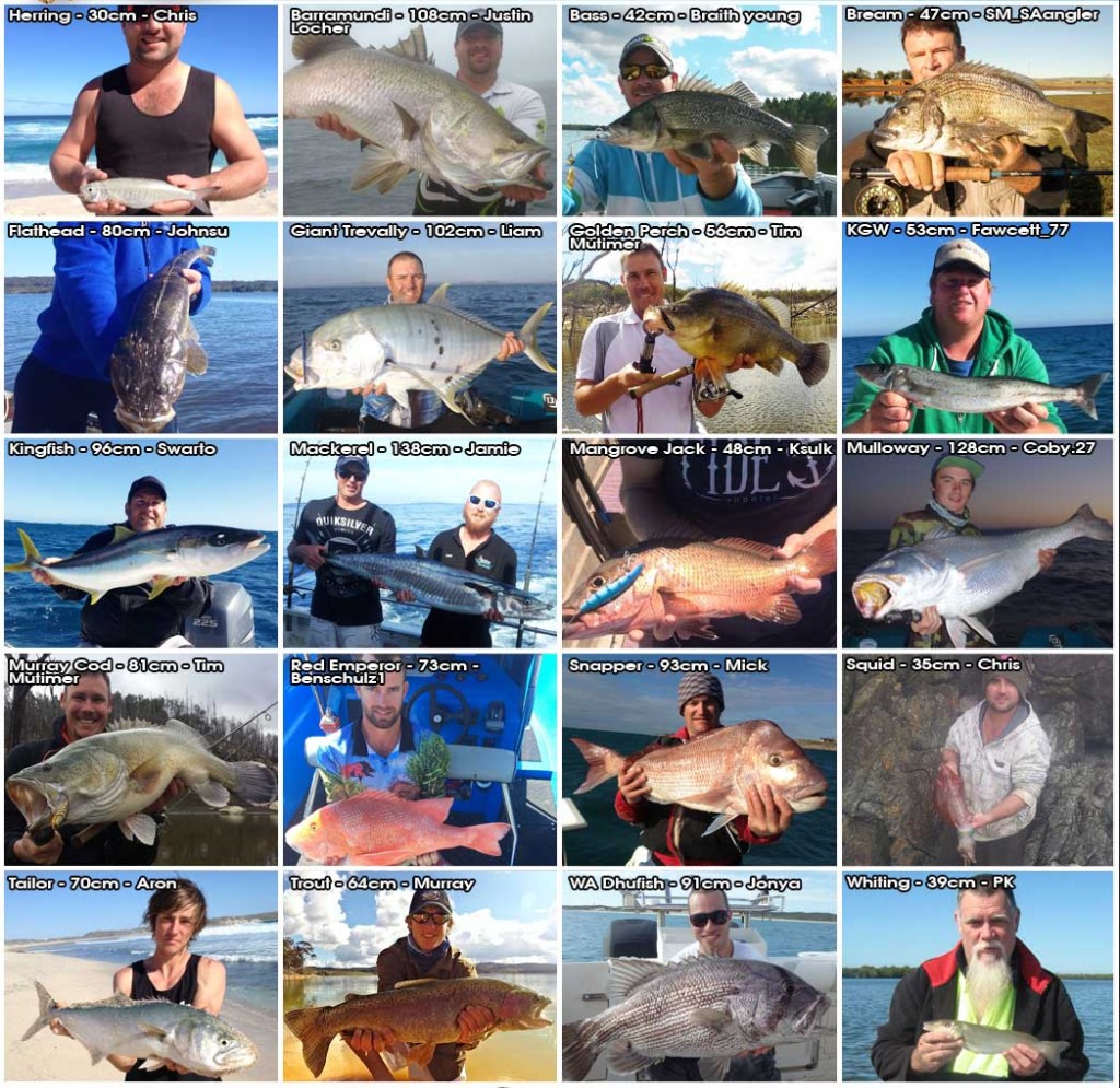 online fishing tournament Winners Aug 2014