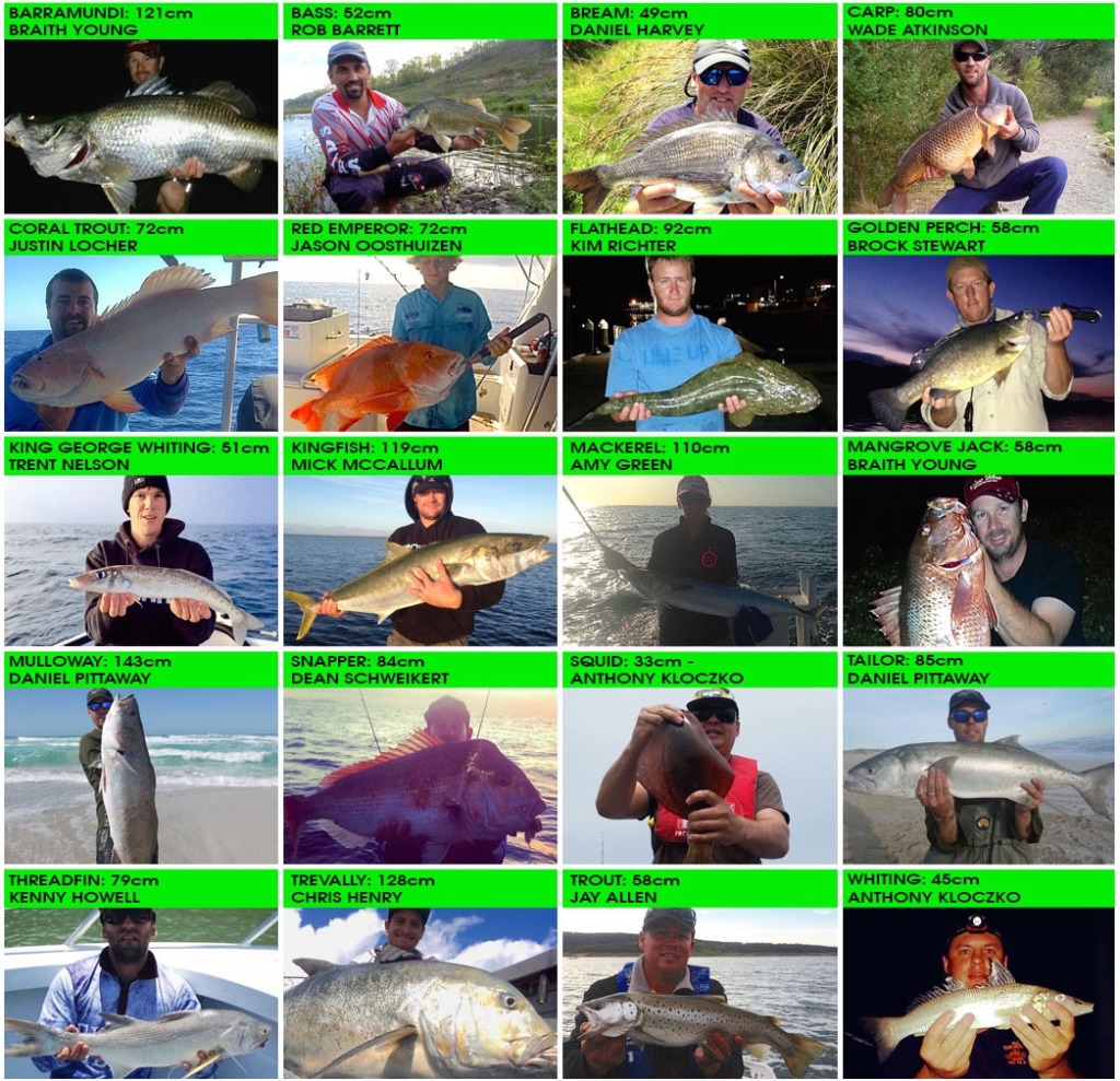 australian online fishing tournament winners