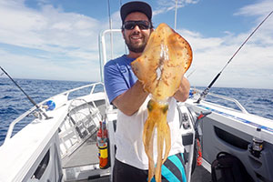 squid southern calamari fishing port lincoln south australia