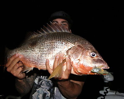 How To Catch Fish, Fingermark