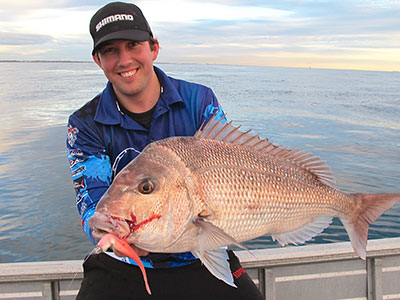 How To Catch Fish, Snapper