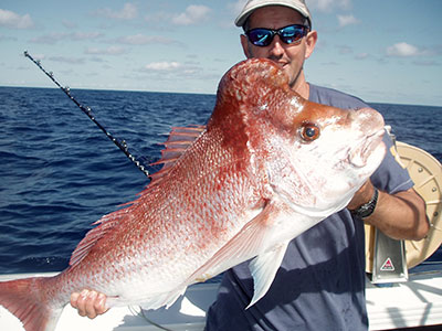 Softbaits & Soft Plastic baits - targeting big snapper - The