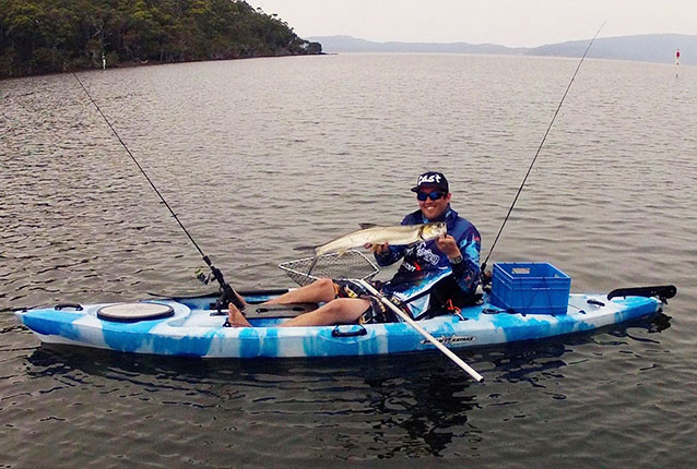 giant herring in dream kayak