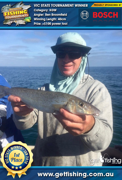 king-george-whiting_ben-broomfield_40cm