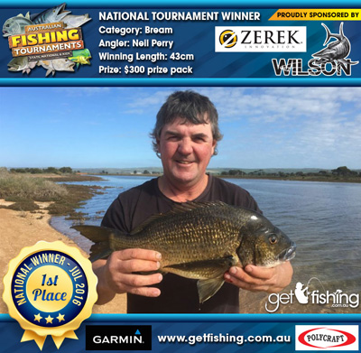 bream_neil-perry_43cm