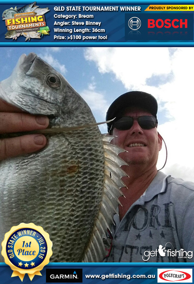 bream_steve-binney_36cm