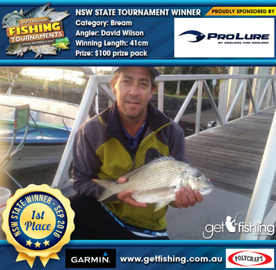 bream_david-wilson_41cm