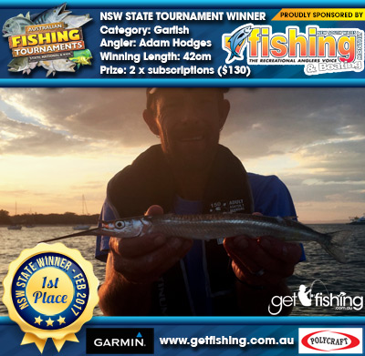 Garfish 42cm Adam Hodges NSW Fishing Monthly Magazine 2 x subscriptions ($130 value)