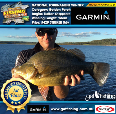 Golden Perch 58cm Nathan Sheppeard Garmin $429 STRIKER 5dv