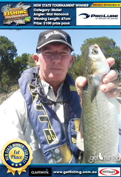 Mullet 47cm Mal Hancock Pro Lure Australia $100 prize pack