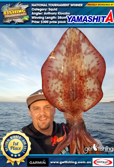 Squid 38cm Anthony Kloczko Yamashita $300 prize pack