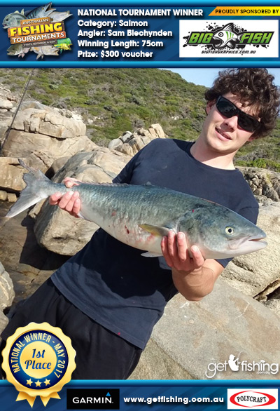 Salmon 75cm Sam Blechynden Bigfish Graphics $300 voucher