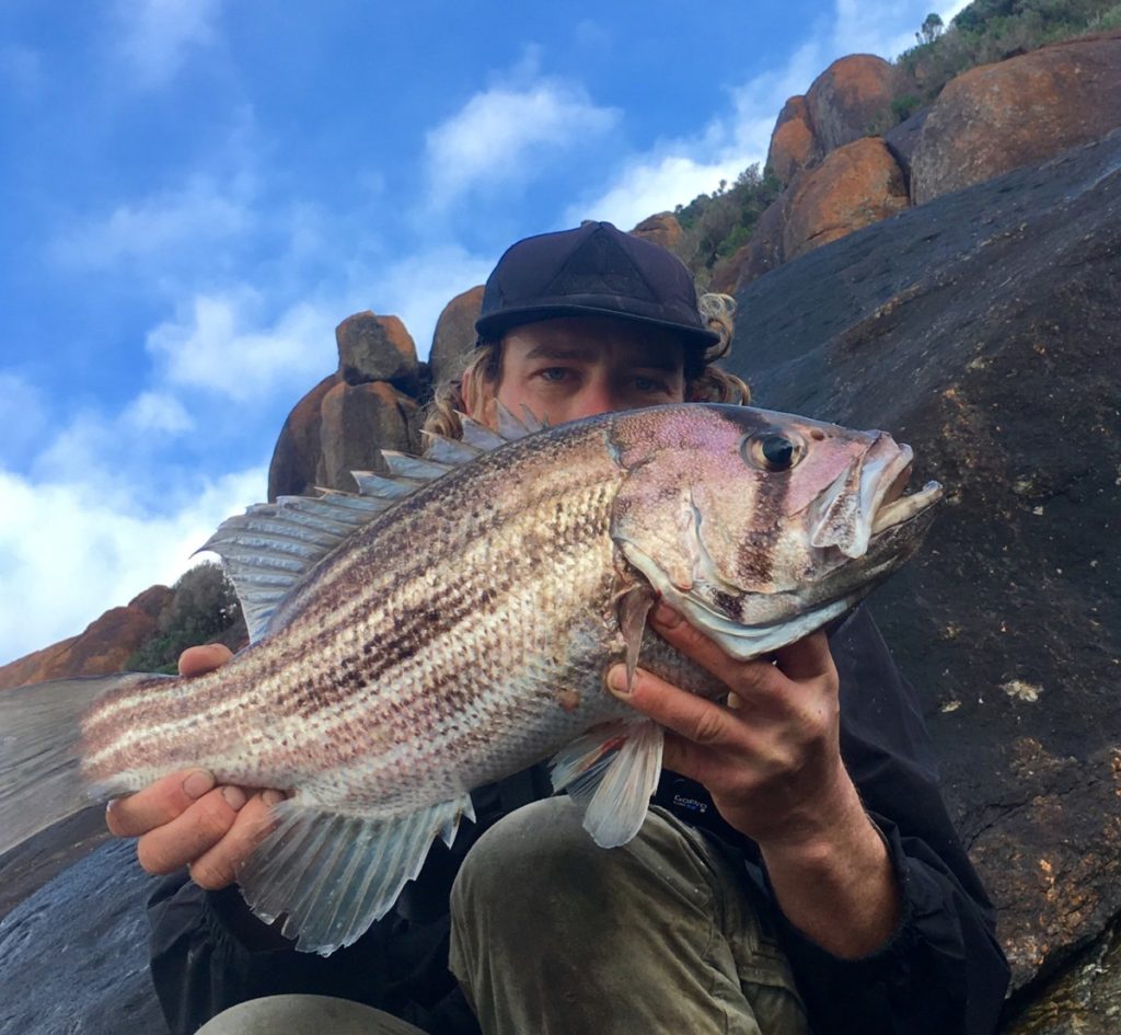 Gallery Australian Fishing Tournaments Get Fishing