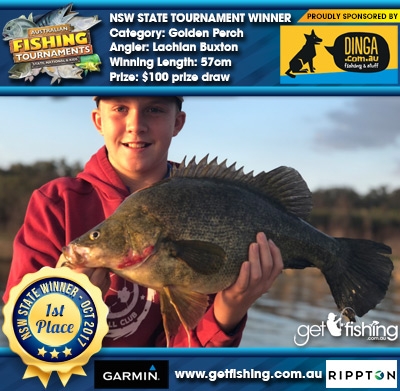 Golden Perch 57cm Lachlan Buxton Dinga Fishing $100 prize draw