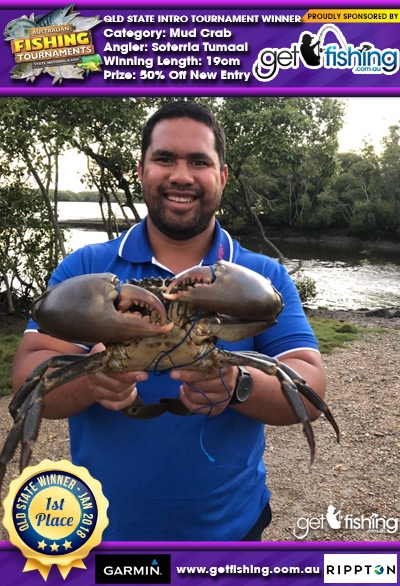 Mud Crab 19cm Soterria Tumaai Get Fishing 50% Off New Entry