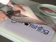 how to fillet snapper video