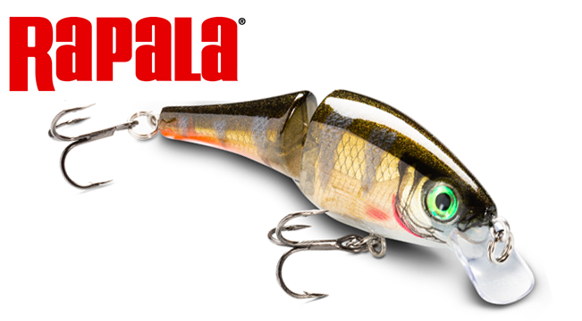 Rapala BX Jointed Shad fishing lure