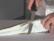 how to fillet flathead