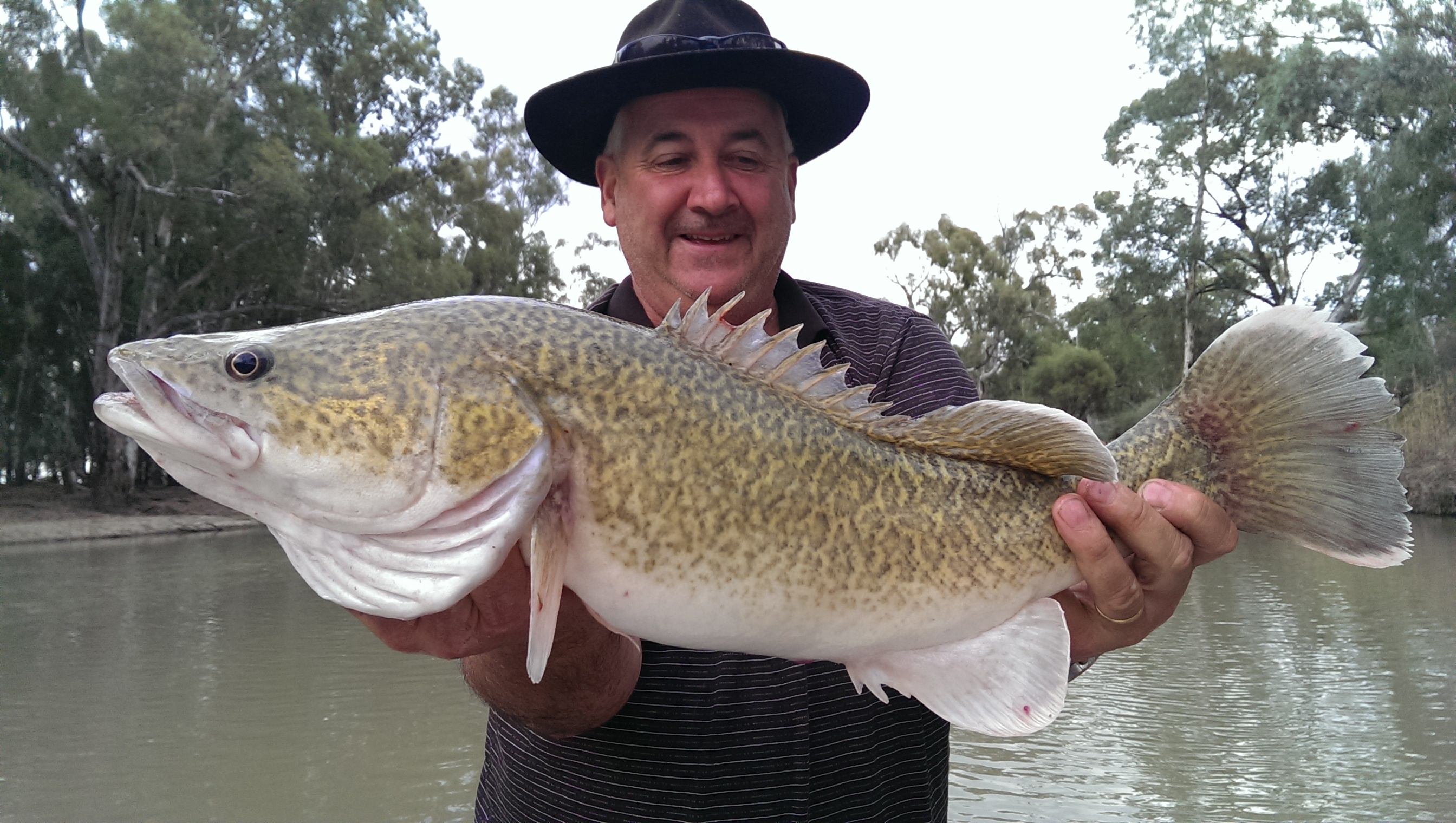 Danny-Germano-murray-cod | Get Fishing