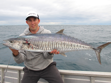 spanish mackerel fishing australia