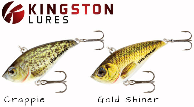 northland-rippin-shad-lure-kingston-lures_3_651x360