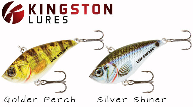 northland-rippin-shad-lure-kingston-lures_4_651x360