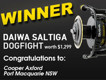 saltiga-dogfight-competition-winner_220x165