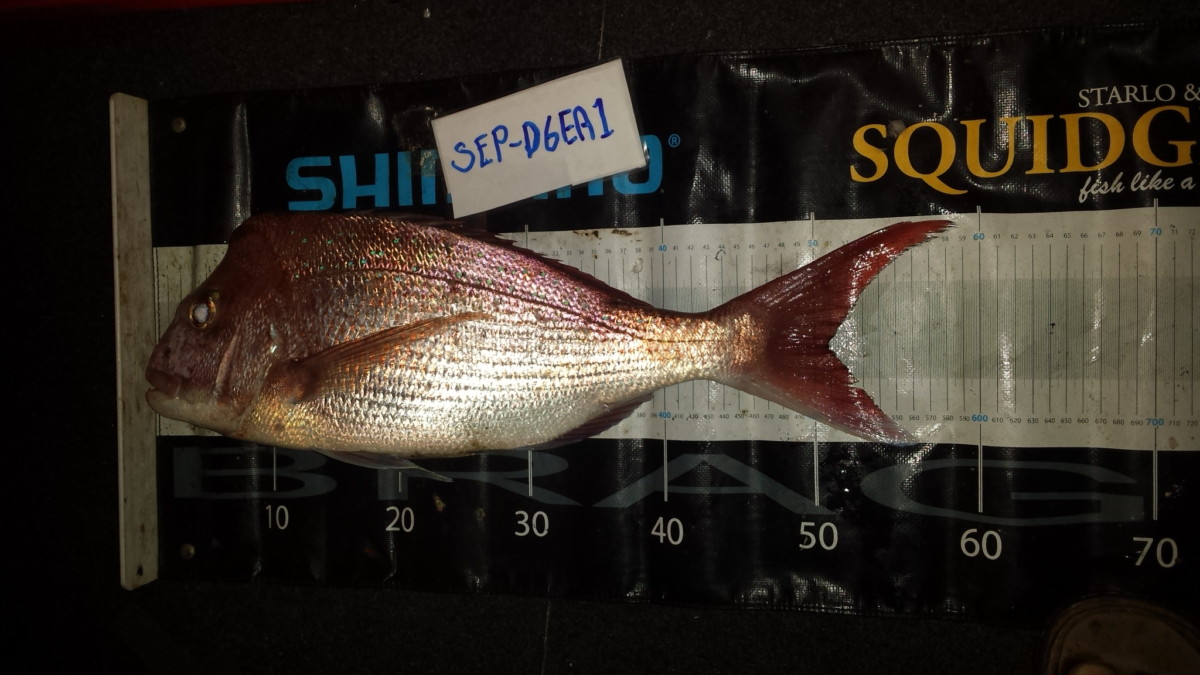 20160917_185842 | Get Fishing