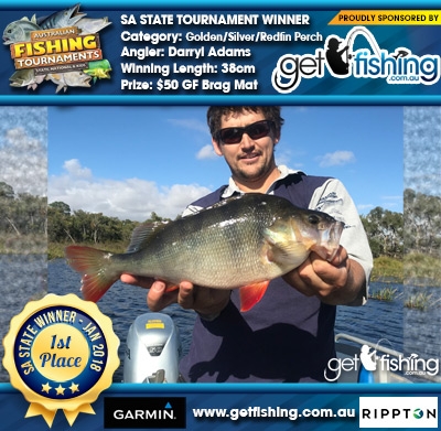 Golden/Silver/Redfin Perch 38cm Darryl Adams Get Fishing $50 GF Brag Mat