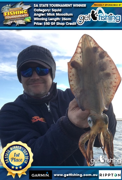 Squid 26cm Mick Mccallum Get Fishing $50 GF Shop Credit